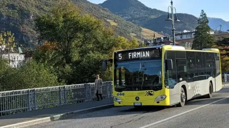 Un inmigrante paquistaní arrastra detrás de un arbusto a una colegiala de 14 años en Italia y la viola mientras esperaba el autobús - octubre 2024