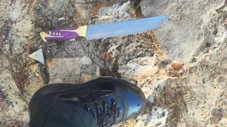 La Asociación Unificada de Guardias Civiles denuncia la llegada masiva de pateras a Baleares y el hallazgo de armas blancas - noviembre 2024