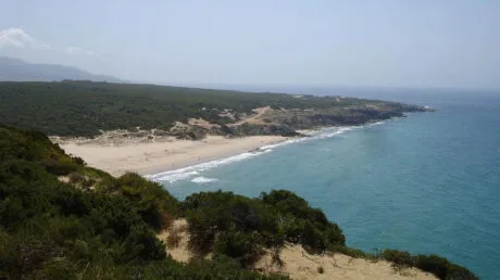 El Ejército intercepta a dos inmigrantes y busca al menos a cinco más tras llegar en una embarcación a una playa de Tarifa (Cádiz) - enero 2025