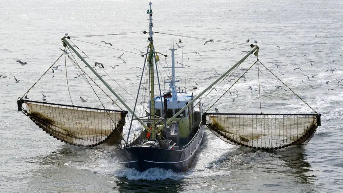 La Federación Murciana denuncia la invasión de los productos pesqueros de Marruecos y Argelia en España