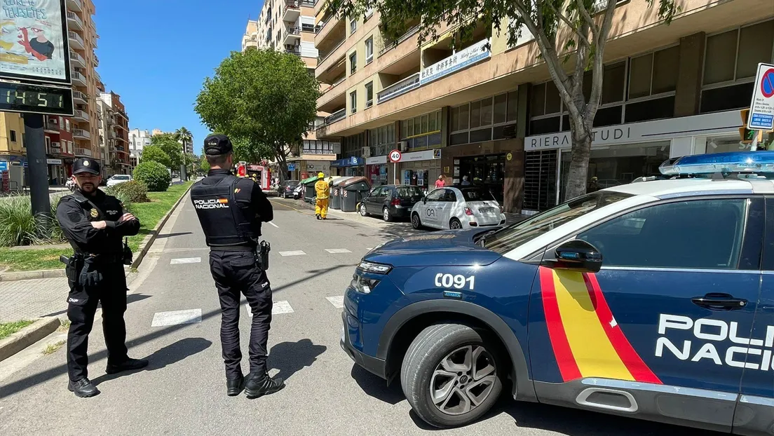 Detenido un inmigrante subsahariano por asaltar y agredir salvajemente a una mujer para robarle su teléfono móvil en Palma de Mallorca