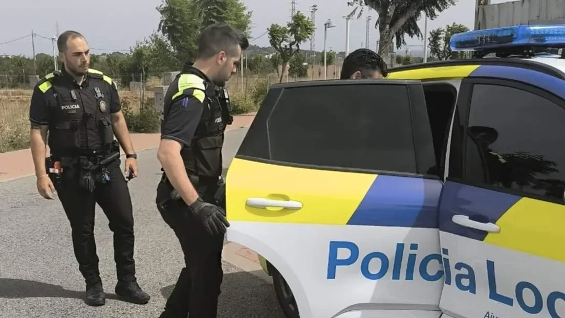 Detenido un magrebí por violar a ponis, asnos y ovejas en Roda de Bará (Tarragona): una oveja ha fallecido